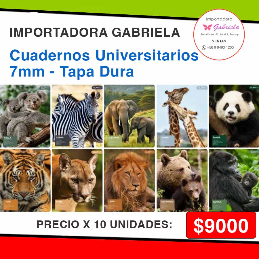 10 Cuadernos Universitarios Cuadriculados de 7 mm