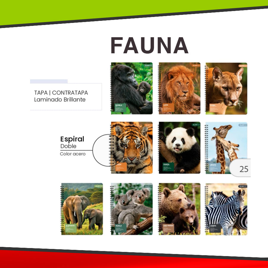 Cuaderno Universitario Doble Espiral - 100 Hojas Tapa Dura