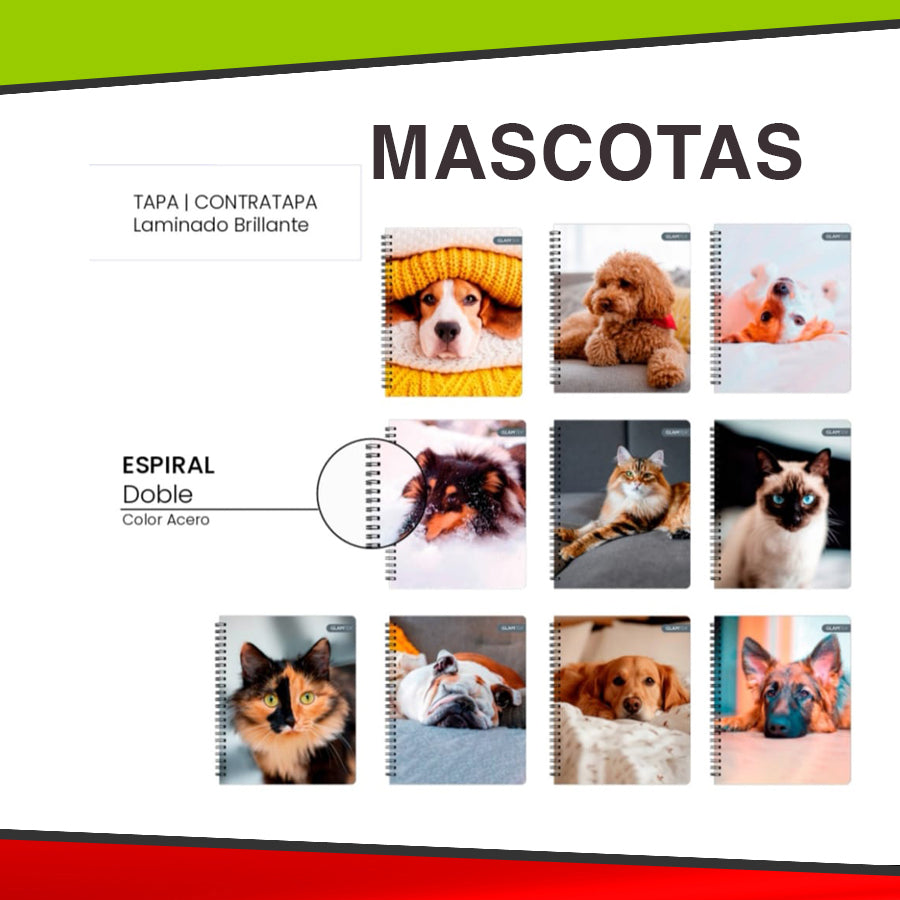 Cuaderno Universitario Doble Espiral - 100 Hojas Tapa Dura