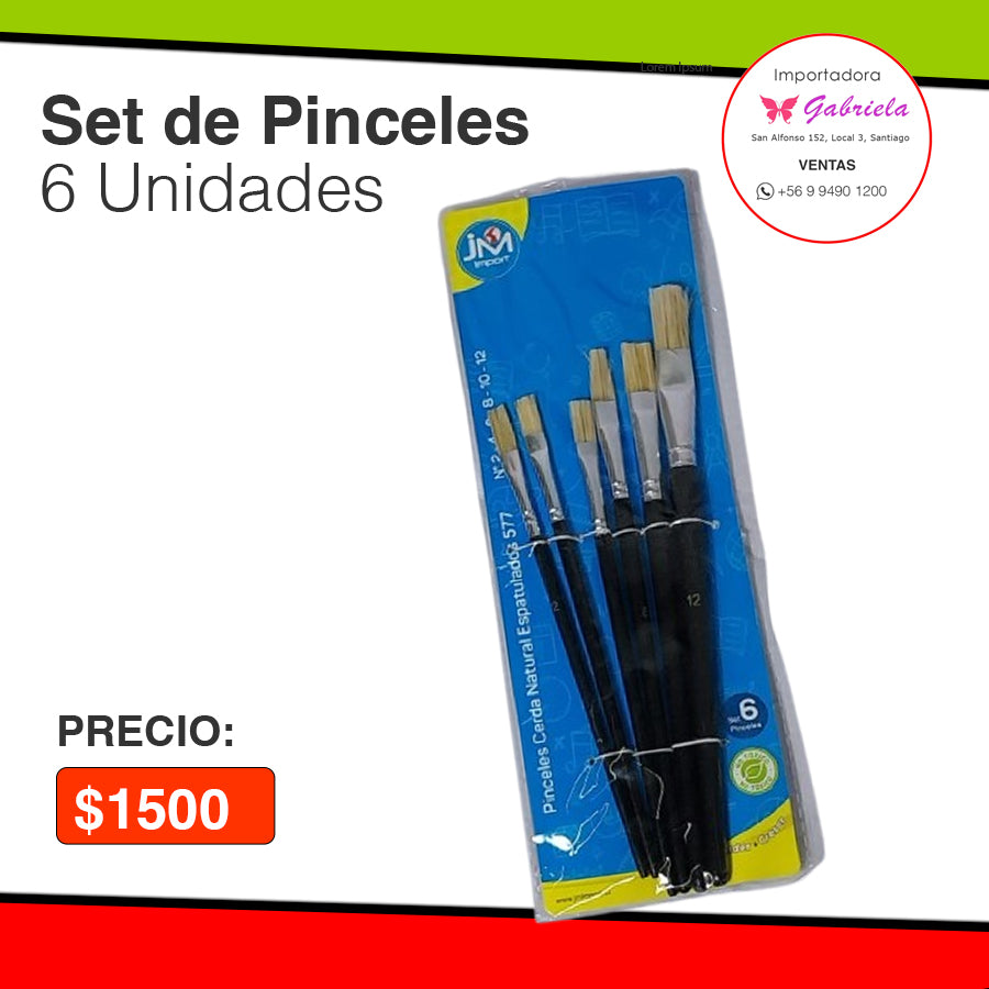 Set de Pinceles. - 6 Unidades