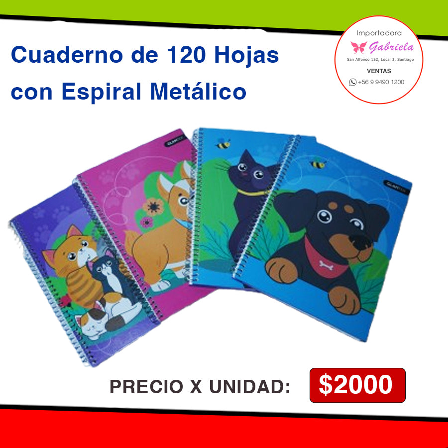Cuadernos de 120 hojas con Espiral Metálico